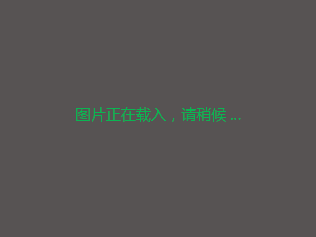 蔬菜丝瓜地转让